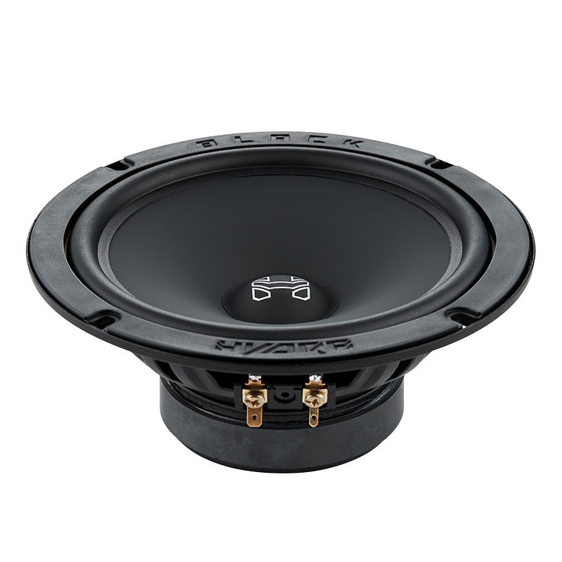 Focal Access 165 AS